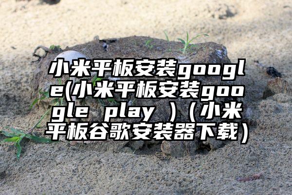 小米平板安装google(小米平板安装google play )（小米平板谷歌安装器下载）