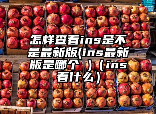 怎样查看ins是不是最新版(ins最新版是哪个 )（ins看什么）