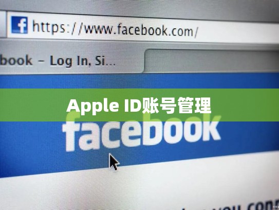 Apple ID账号管理