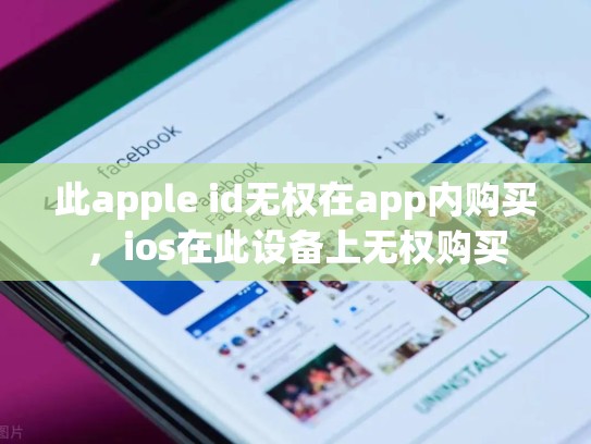 此apple id无权在app内购买，ios在此设备上无权购买