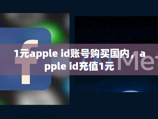 1元apple id账号购买国内，apple id充值1元